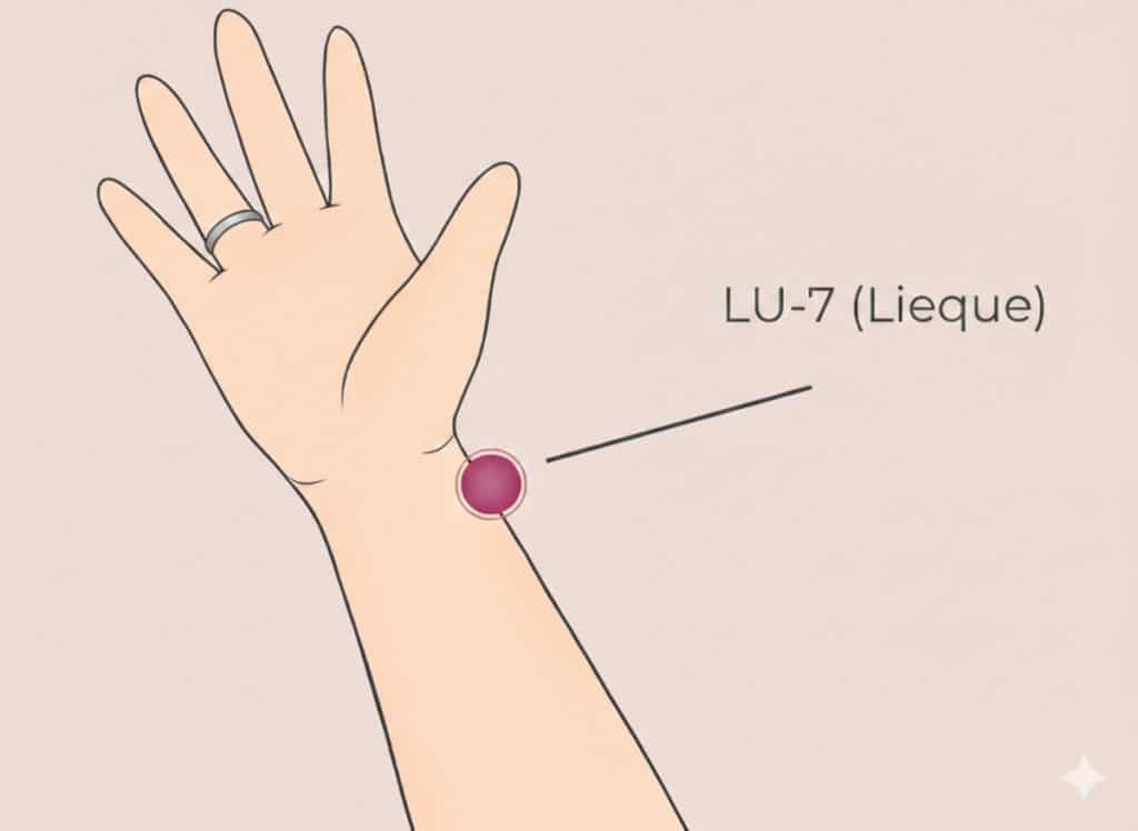 LU7 - נקודת דיקור